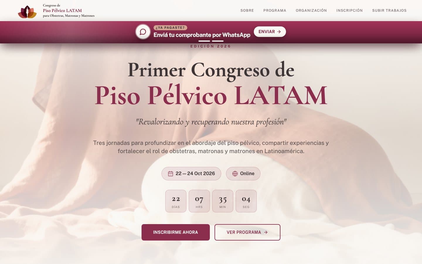 Captura del sitio pisopelvicolatam.com